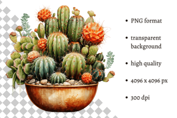 Download Potted Cactus PNG Illustration - Cactus png Collection