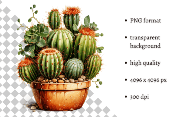 Download Potted Cactus PNG Illustration - Premium Resources