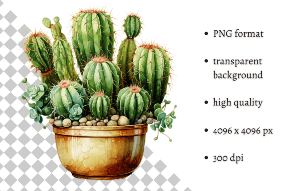 Download Potted Cactus PNG Illustration - Cactus png Collection