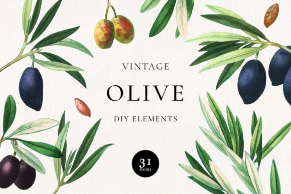 Download Vintage Olive DIY Elements - Vintage Collection