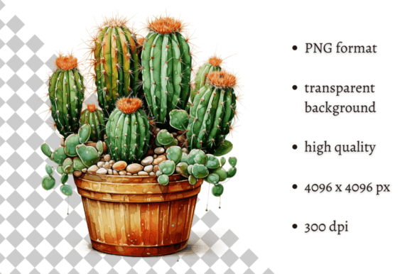 Download Potted Cactus PNG Illustration - Cactus png Collection