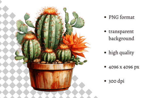 Download Potted Cactus PNG Illustration - Premium Resources